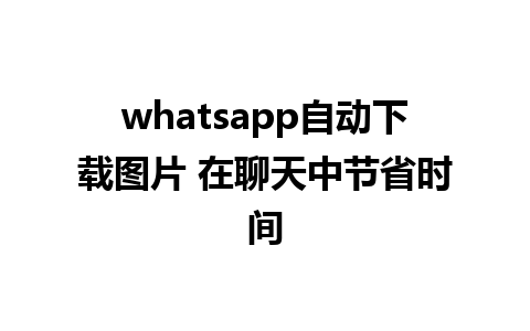 whatsapp自动下载图片 在聊天中节省时间