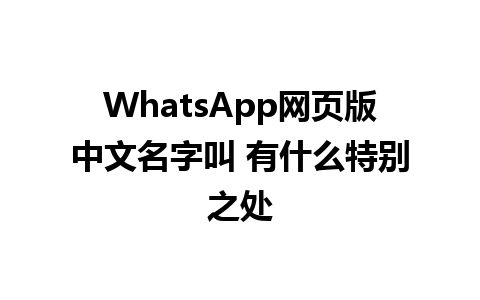 WhatsApp网页版中文名字叫 有什么特别之处