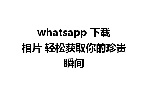 whatsapp 下载相片 轻松获取你的珍贵瞬间