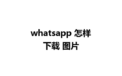 whatsapp 怎样下载 图片