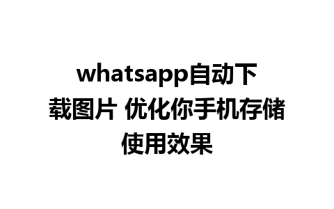 whatsapp自动下载图片 优化你手机存储使用效果