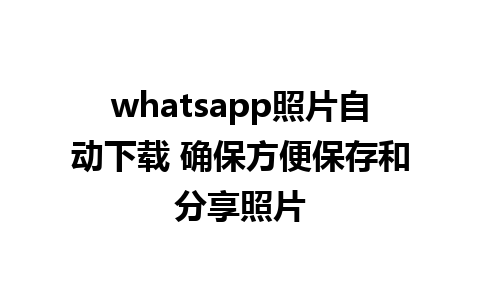 whatsapp照片自动下载 确保方便保存和分享照片