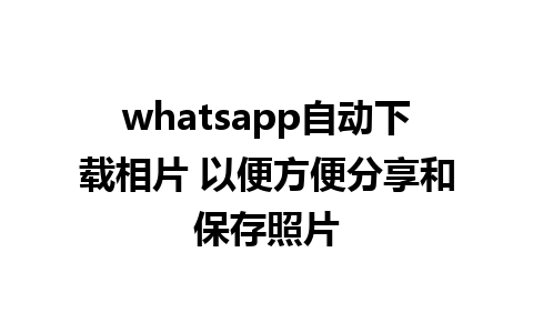 whatsapp自动下载相片 以便方便分享和保存照片