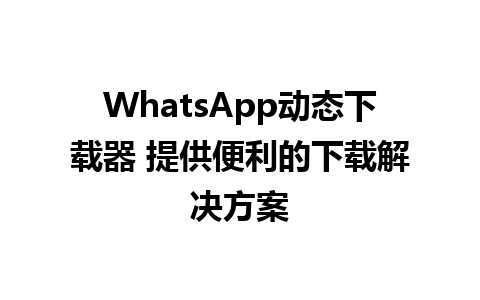 WhatsApp动态下载器 提供便利的下载解决方案