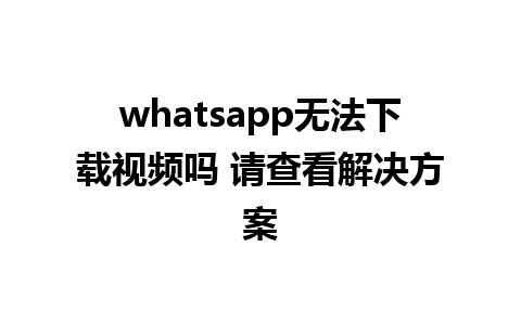 whatsapp无法下载视频吗 请查看解决方案